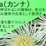 20(copy)